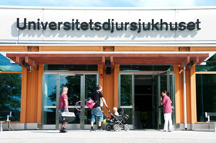 Entrén til universitetsdjursjukhuset, foto.