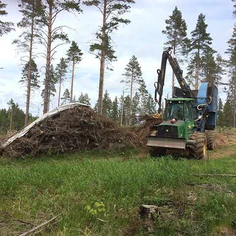 Foto på maskiner som gör flis av hyggesrester