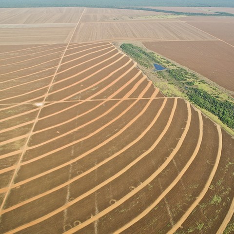 Flygfoto på uppodlad mark i Mato Grosso, Brasilien.