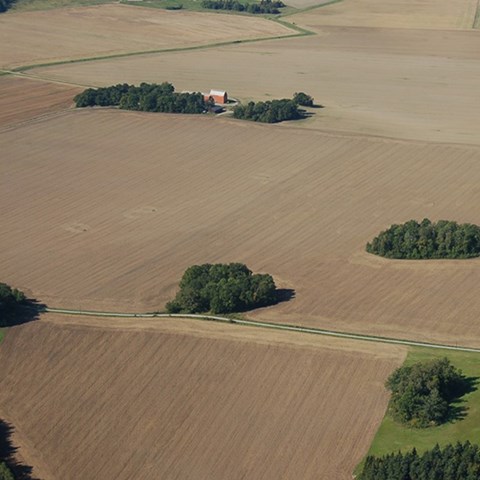 Flygfoto på små lövbestånd i ett mellansvenskt jordbrukslandskap
