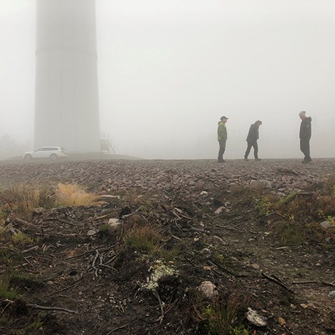 Foto på vindkraftverk