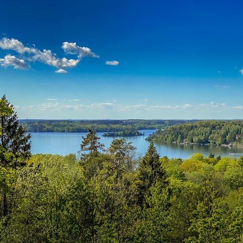 Översiktsbild över blandskog och vatten i soligt väder med blå himmel. Foto.