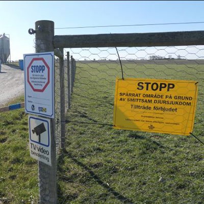 Infarten till en gård där det finns skyltar att det är förbjudet att åka in på grund av fågelinfluensa, foto.