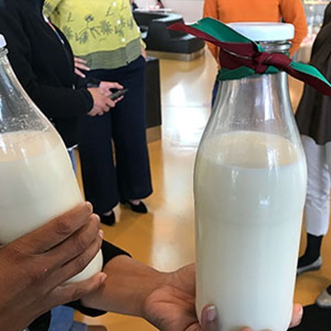 A bottle of milk from the milk vending machine.