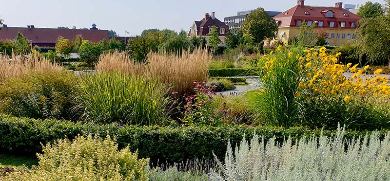 Late summer in Kunskapsparken at Ultuna with bushes and flowers.