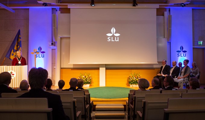 Rektor Maria Knutson Wedel talar till de installerade professorerna. Foto: Andreas Palmén