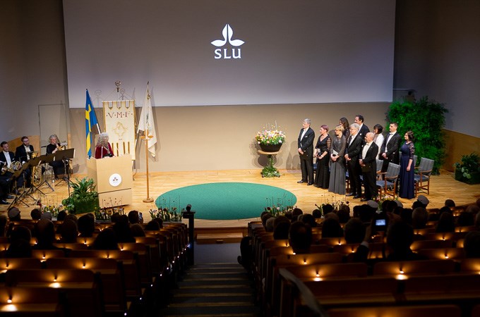 Bild av installationsceremonin. Rektor står i talarstolen, professorerna står upp på scenen.