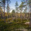 Björnlandets nationalpark, Foto Per A Adsten