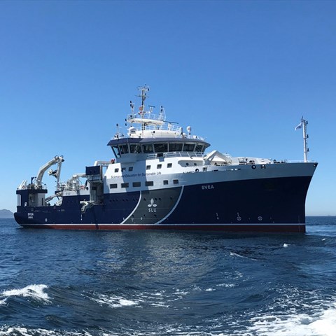 SLU:s forskningsfartyg R/V Svea. Foto.