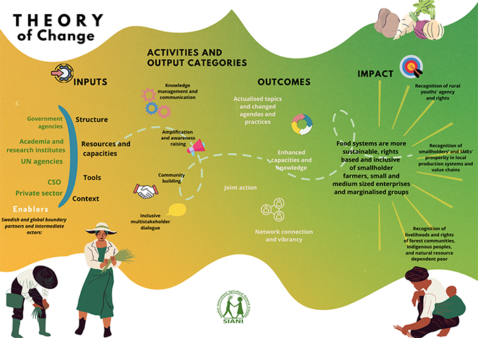 SIANIs Theory of Change