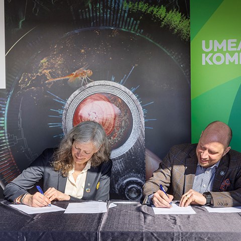 Maria Knutson Wedel, rektor vid Sveriges lantbruksuniversitet och Hans Lindberg (S), kommunstyrelsens ordförande, Umeå kommun, undertecknar samverkansavtal. Foto: Fredrik Larsson.
