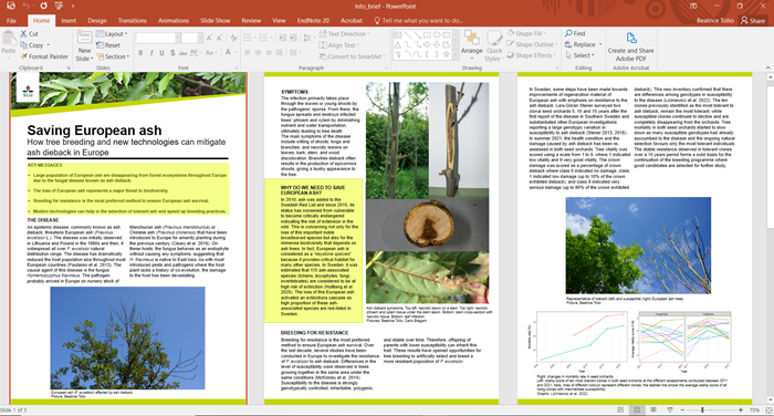 Info briefs were part of the SLU Ph.D. course. This one submitted by Beatrice Tolio, ‘Saving European Ash’, doctoral candidate from the Department of the Southern Swedish Forest Research Center.