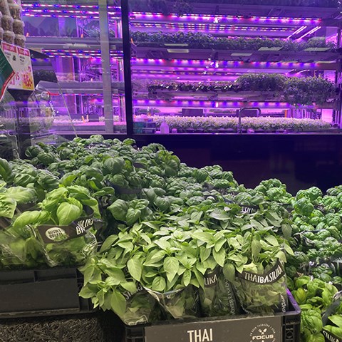 Foto på butiksodling av grönsaker