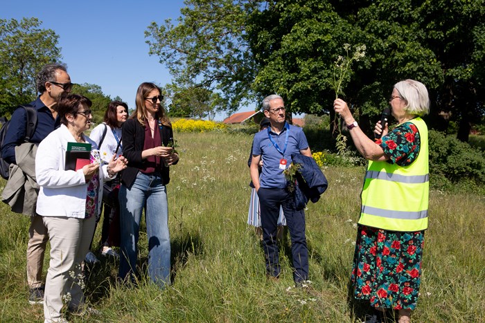 EU ministers in Linnes footsteps