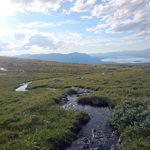 Foto på fjällbäck: Miellajokka