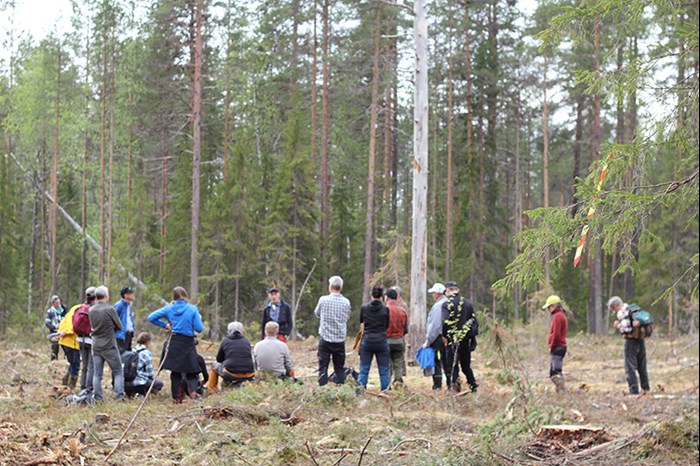 A group of people standing and sitting in a forest listening to one person standing in front of the group