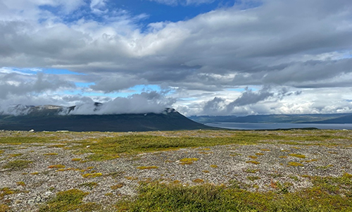 Foto på tundralandskap