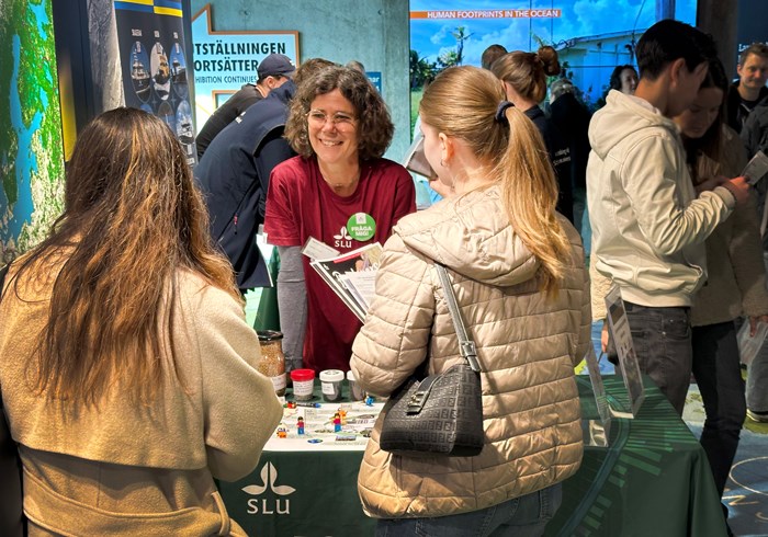 Helena Aronsson på BSSC yrkesmässa 2025. Foto.