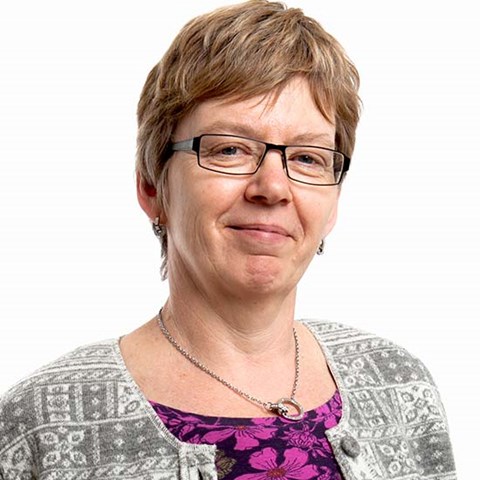 Karin Blombäck, foto.
