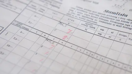 Paper, protocol from forest inventory. Photo.