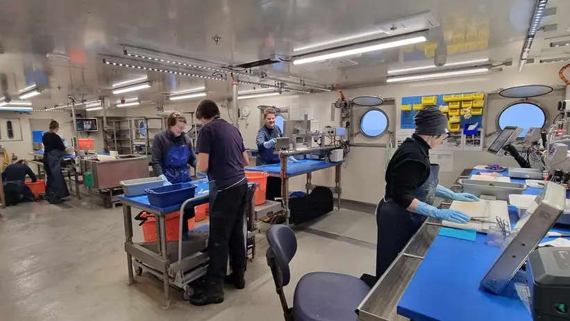 Labbinteriör med rostfria bänkar och personer i arbete