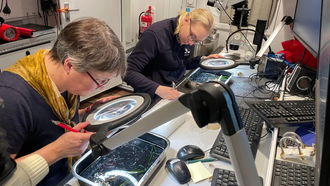 Two people examining plankton in a laboratory setting