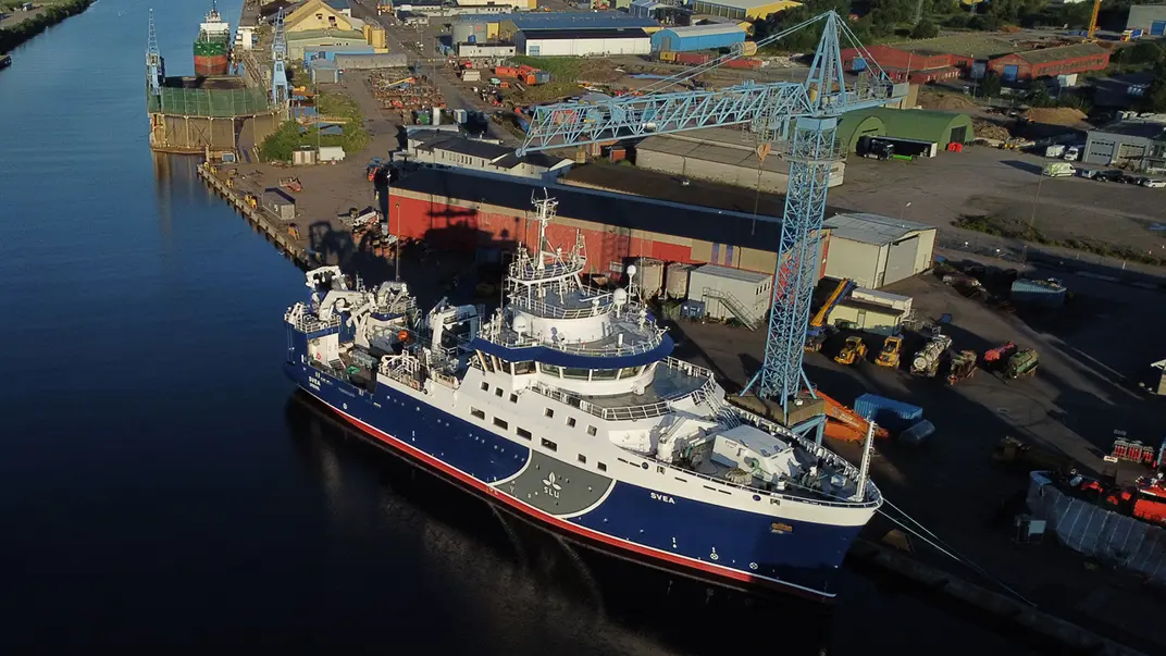 Ship in harbour