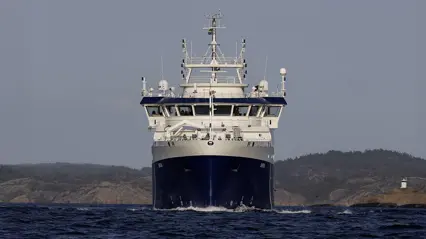 Svea framifrån