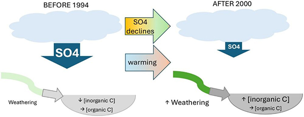 Graphical abstract of the findings in Goedkoop et al. (2026). Climate-induced vegetation greening stimulated carbon sequestration in subarctic catchments during the last decades. Increases in weathering and declines in non-marine sulfate atmospheric deposits were identified as the main drivers of decadal increases in inorganic carbon run-off to subarctic lakes.