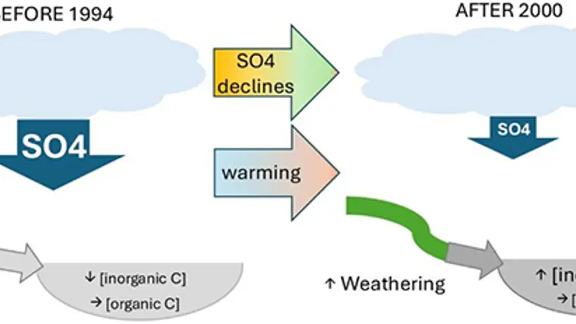 Graphical abstract of the findings in Goedkoop et al. (2026). Climate-induced vegetation greening stimulated carbon sequestration in subarctic catchments during the last decades. Increases in weathering and declines in non-marine sulfate atmospheric deposits were identified as the main drivers of decadal increases in inorganic carbon run-off to subarctic lakes.