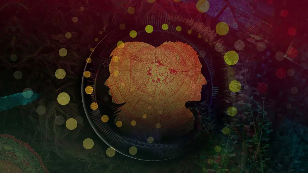 Symbolic image, lectures with senior environmental specialists