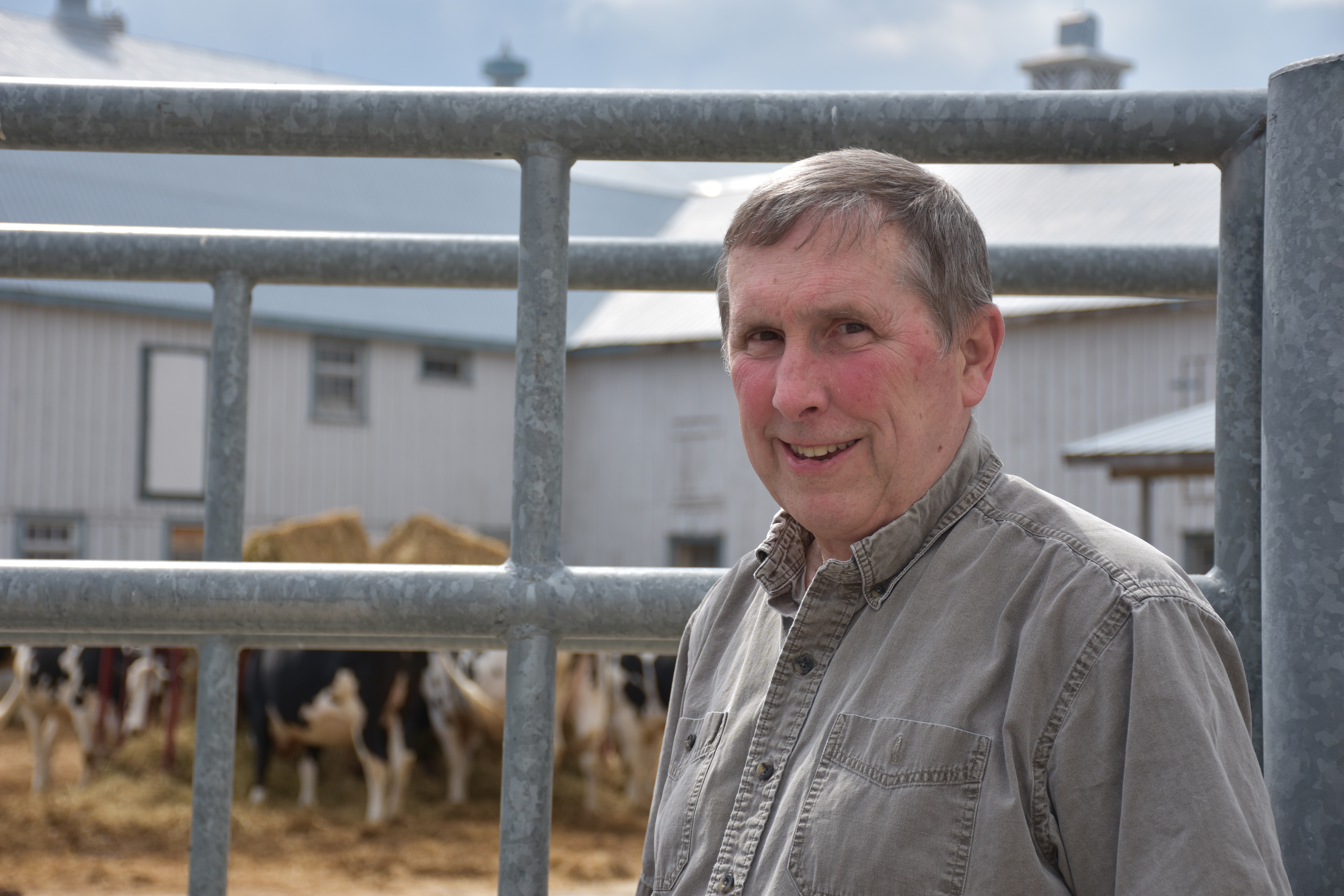 En person i grå skjorta står vid ett boskapsstängsel. Djur skymtar bakom.