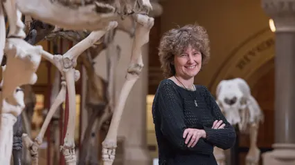A woman standing in front of a bunch of skeletons.