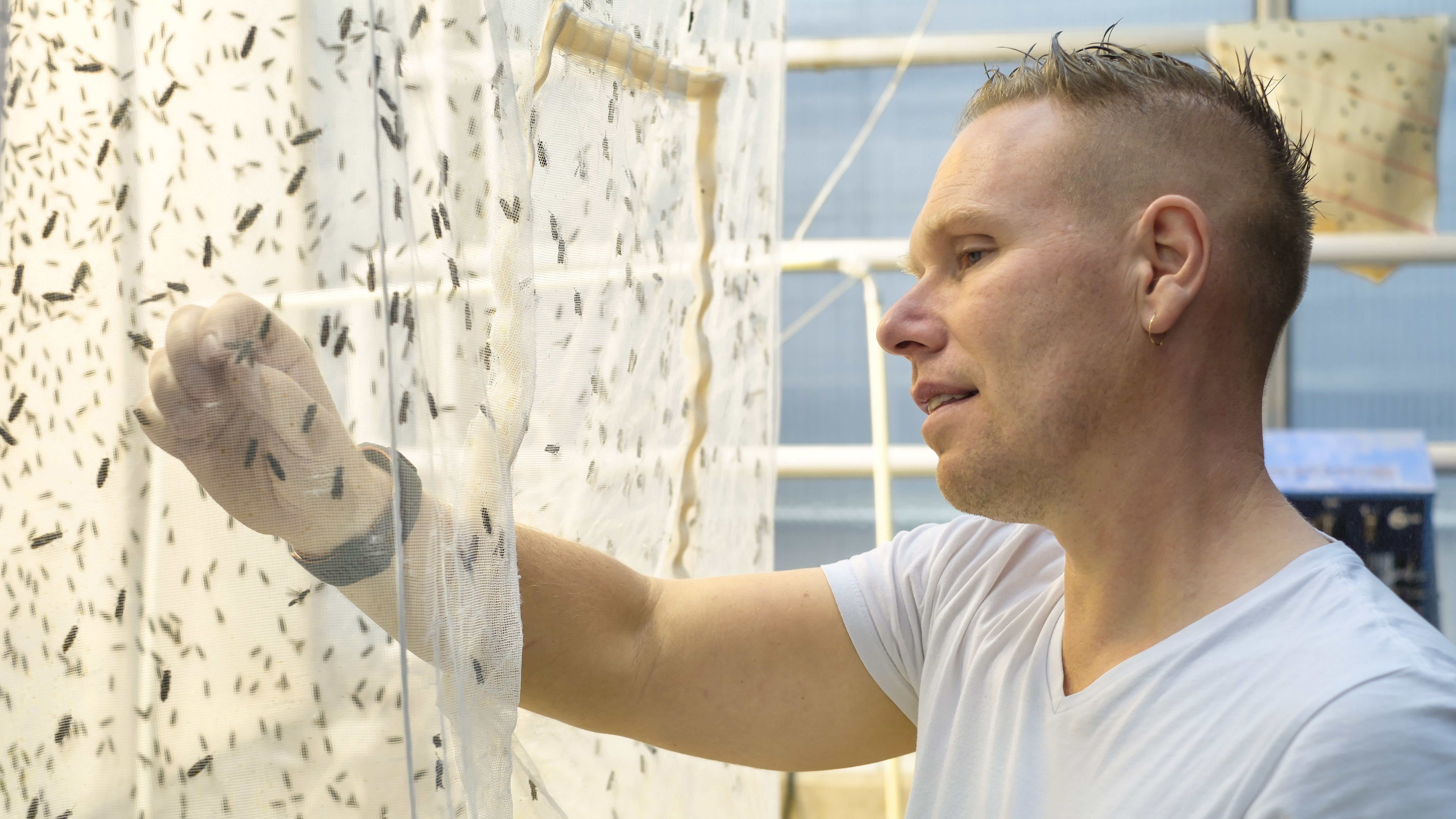 A man standing in a room next to a net cage containing insects.