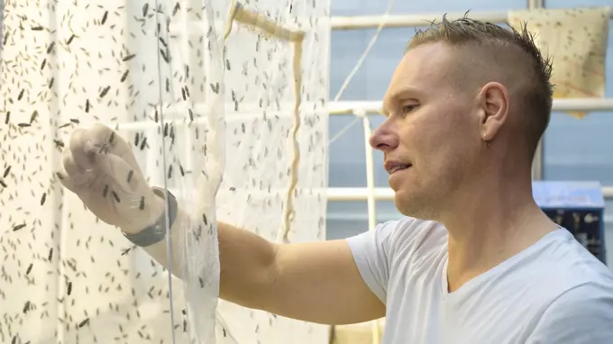 A man standing in a room next to a net cage containing insects.