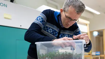 En man arbetar med växter i ett laboratorium.