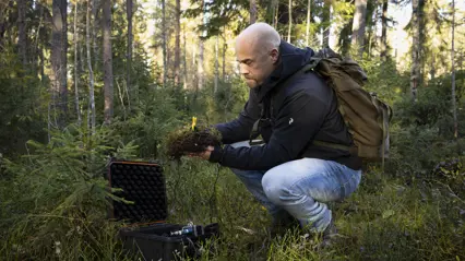 En friluftsklädd person sitter på huk i skogen och monterar teknisk utrustning i en klump mossa.