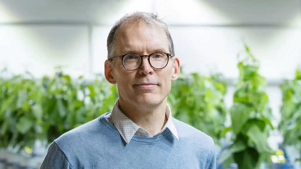 A person wearing glasses standing in a greenhouse with green plants  in the background.