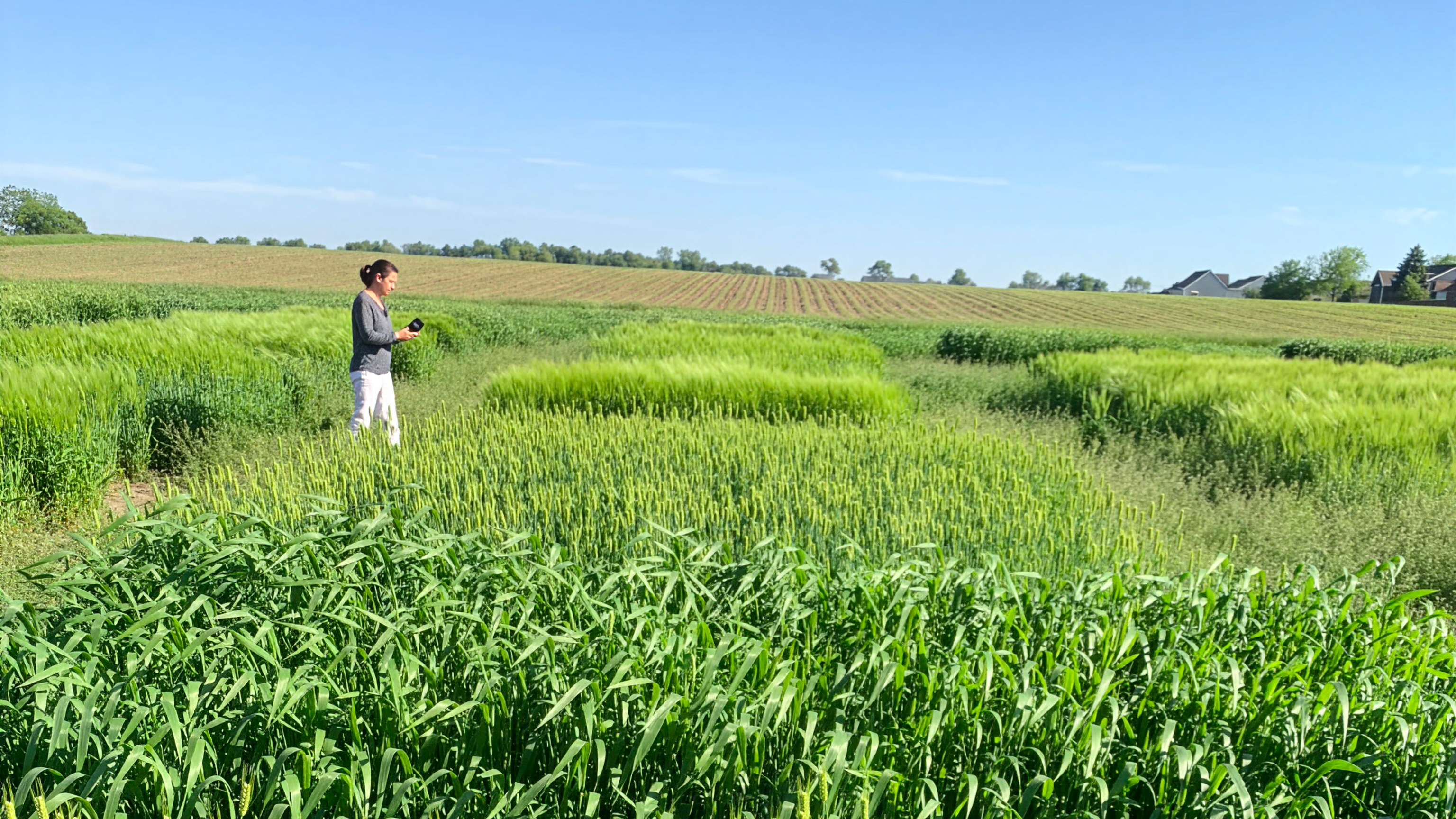 A woman walking on a green lush field.