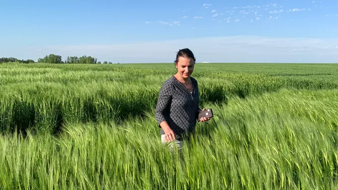 A woman walking on a field with green crops.