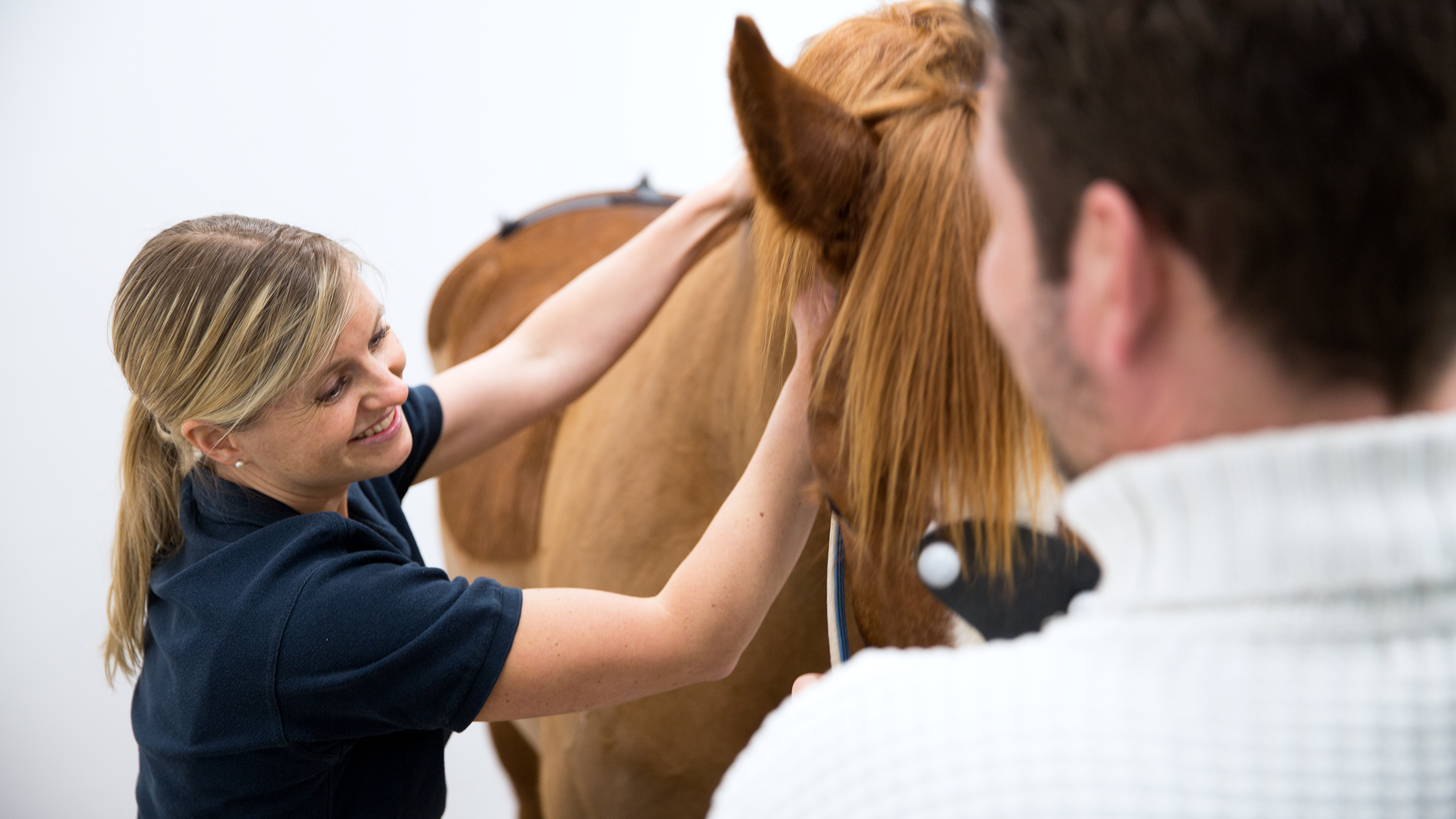 A smiling woman standing by a horse.