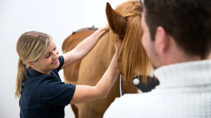 A smiling woman standing by a horse.