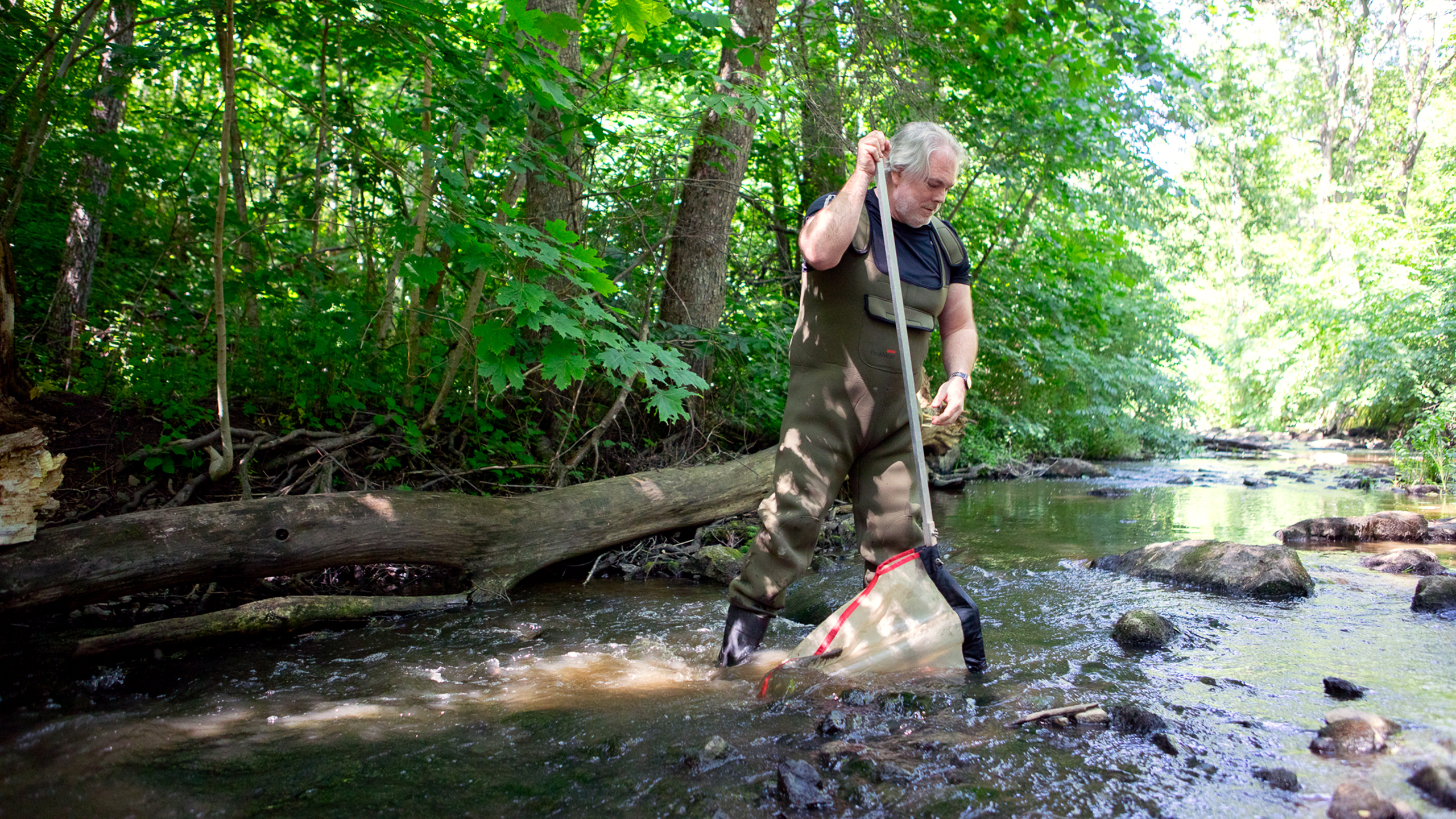 En man står i en bäck med en håv. I bakgrunden gröna träd. 