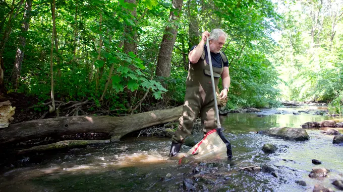 En man står i en bäck med en håv. I bakgrunden gröna träd.