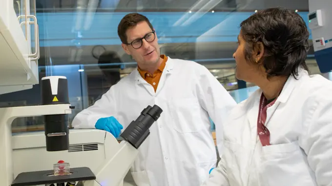 En man och en kvinna i vita rockar pratar i ett labb, vid ett mikroskop.
