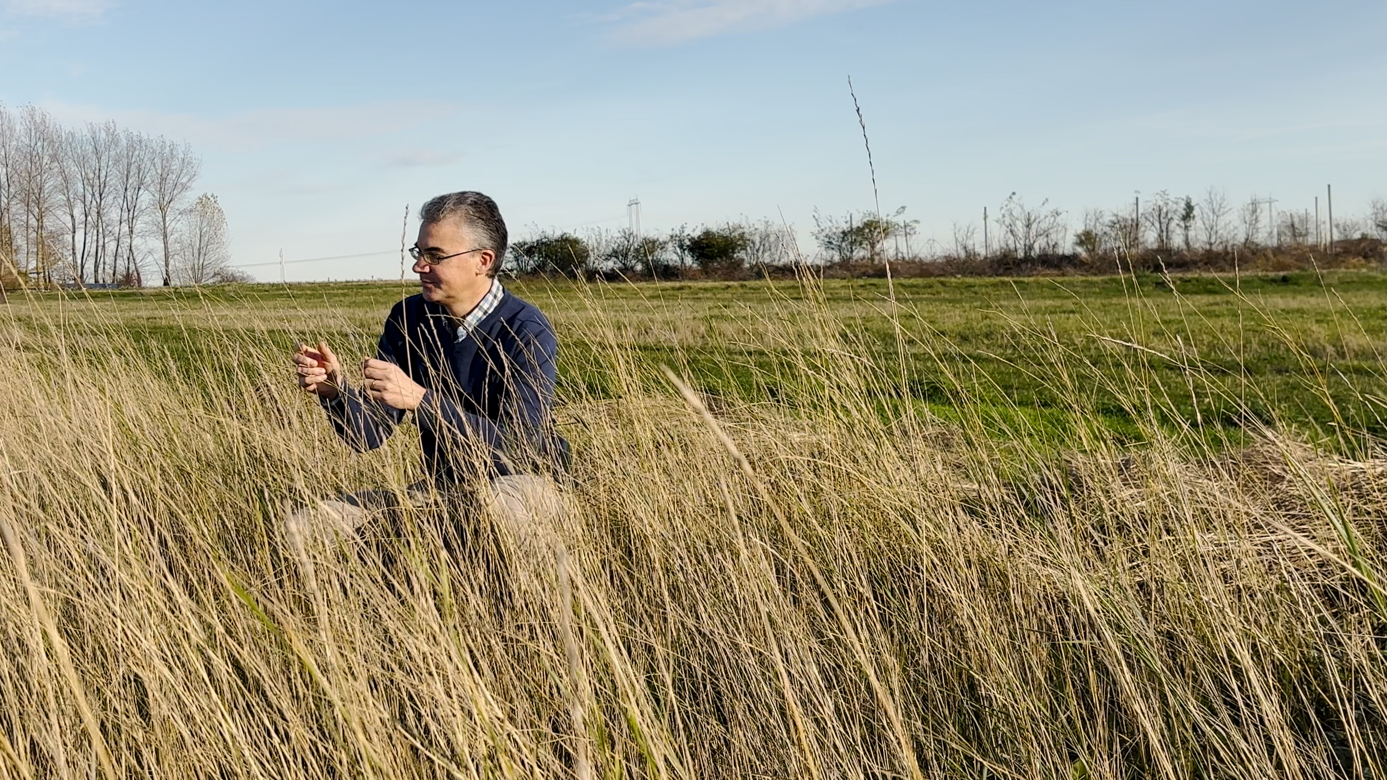 En man sitter på huk ute på ett fält och tittar på sädesaxen.