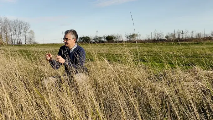 En man sitter på huk ute på ett fält och tittar på sädesaxen.