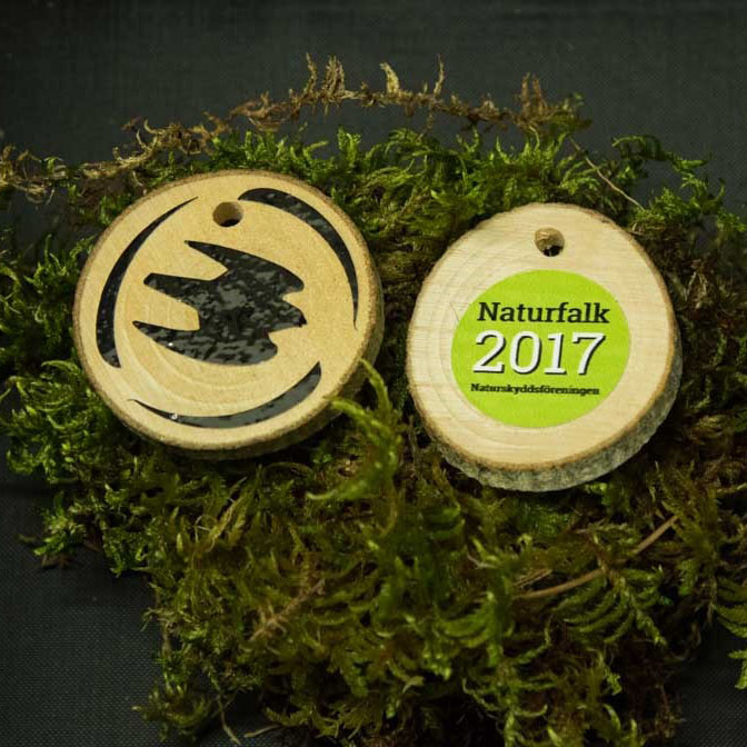 Träbrick med falk på