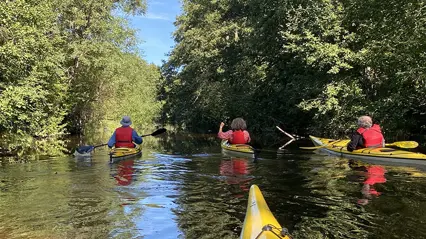 Paddling i Tämnarån