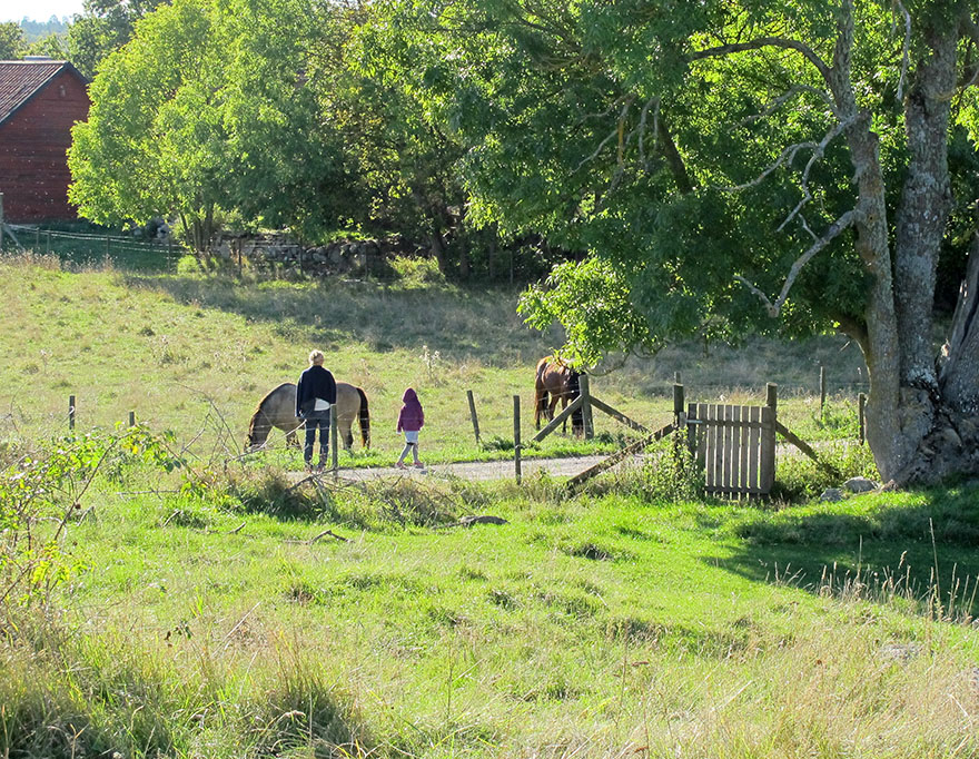 Pasture where two people and two horses are seen at a horse paddock. 